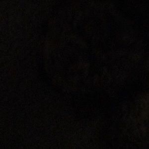 Meet your Posher, Bart